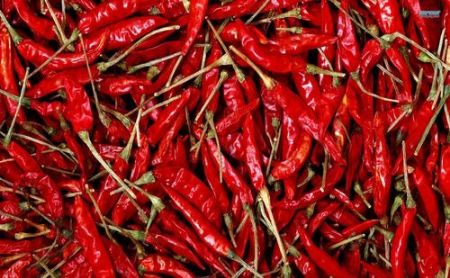 Picture for category Premium Red Chilli